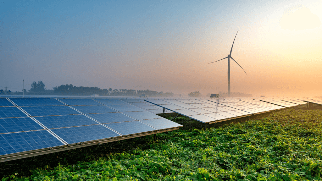 The Full Potential of Solar: Smarter Monitoring, Bigger Savings