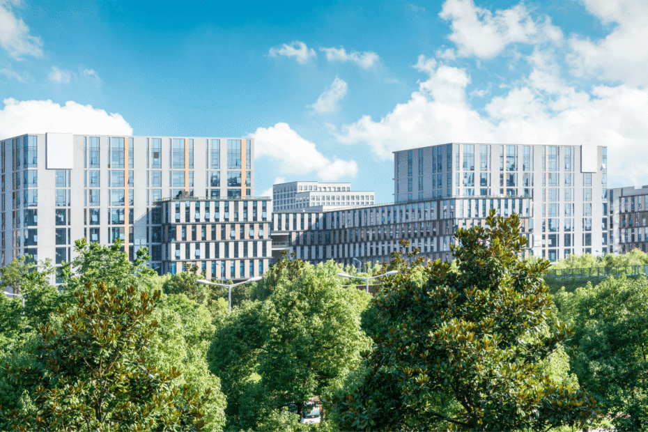 Carbon Awareness Training: What Businesses Need to Know