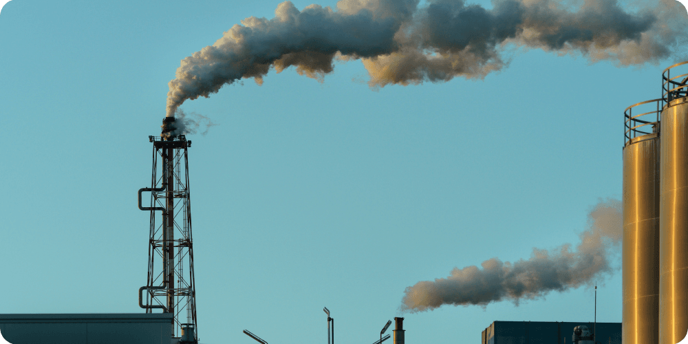 We calculate your Scope 1, 2 and 3 emissions We calculate your Scope 1, 2 and 3 emissions