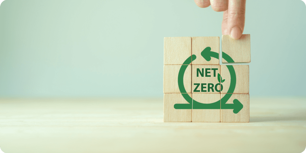 net zero net zero