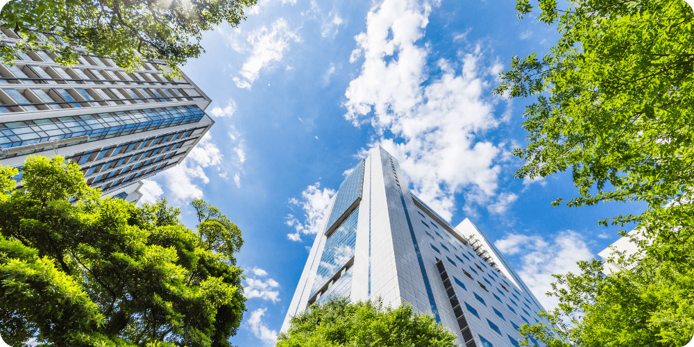carbon verification - decarbonisation carbon verification - decarbonisation