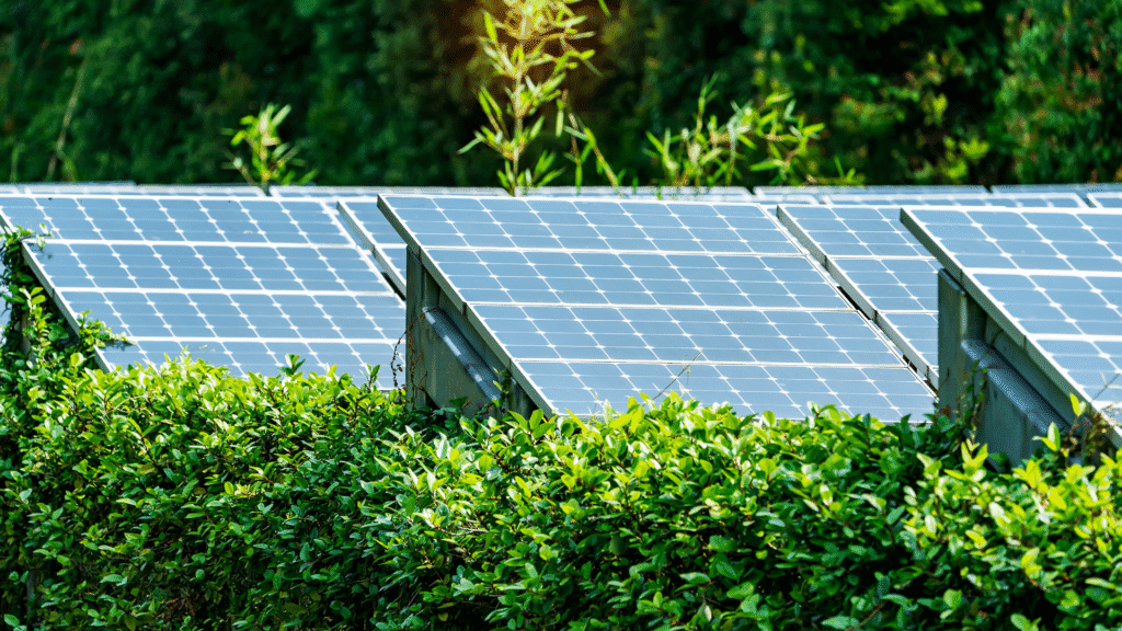 A Historic Shift Renewable Energy Surpasses Coal in Global Electricity Generation