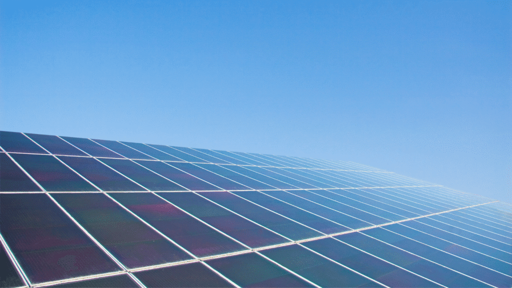 Why Partnering with the Right O&M Provider Is Revolutionary for Solar Assets