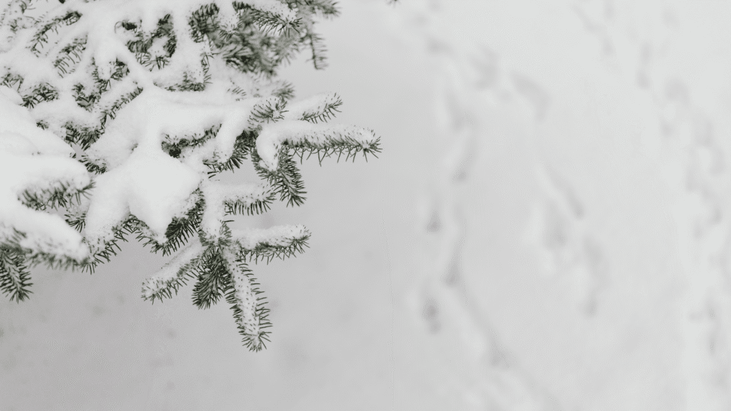 Winter Energy Wastage