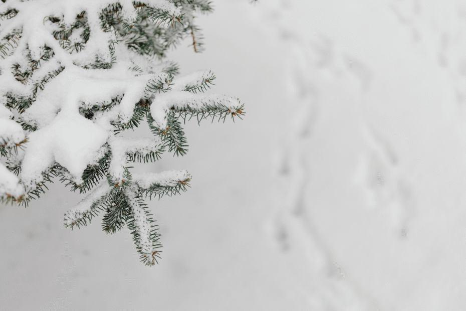 Winter Energy Wastage