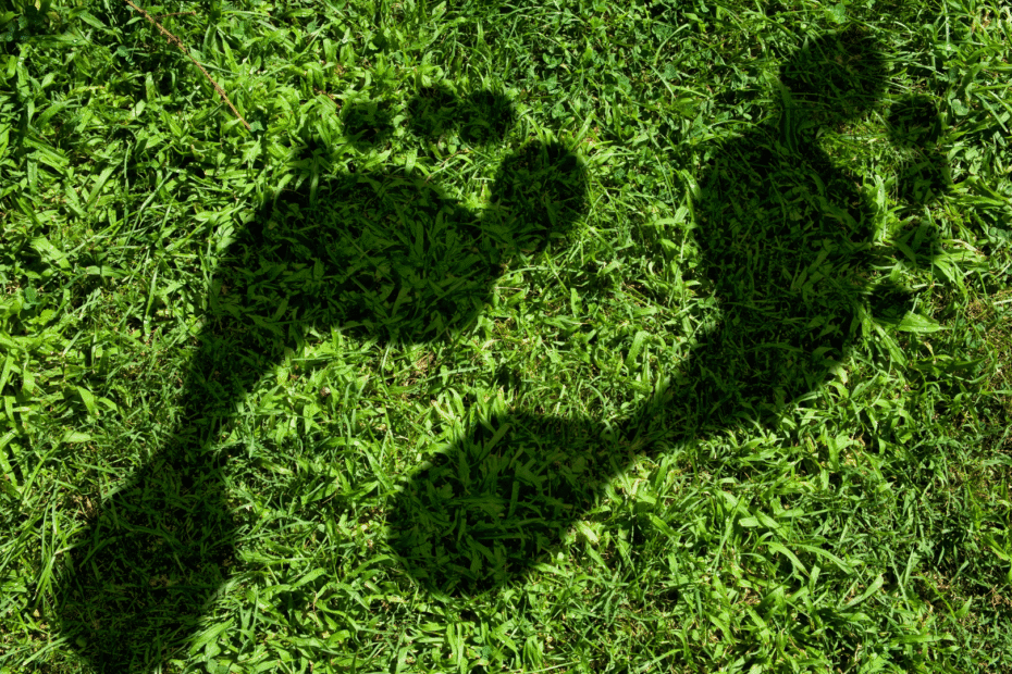 Carbon Reporting Requirements for UK Businesses