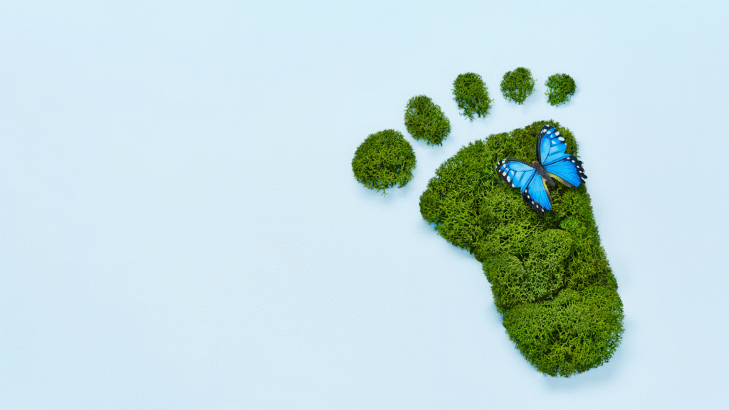 How Often Should Businesses Measure Their Carbon Footprint
