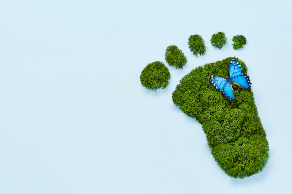 How Often Should Businesses Measure Their Carbon Footprint