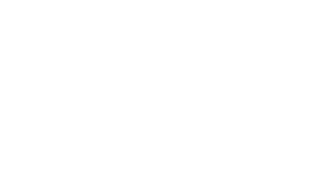Simmtronic Simmtronic
