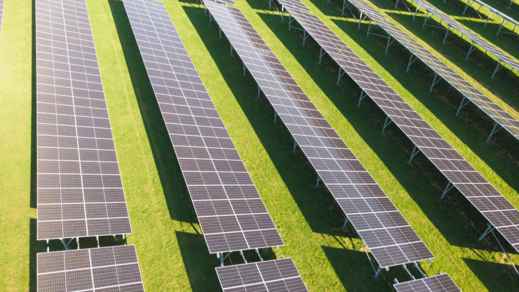 How Solar Supports Corporate Net Zero Goals