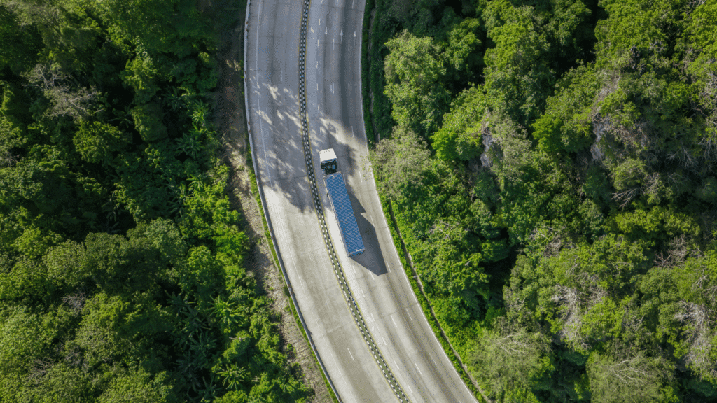 Energy and Carbon Strategies