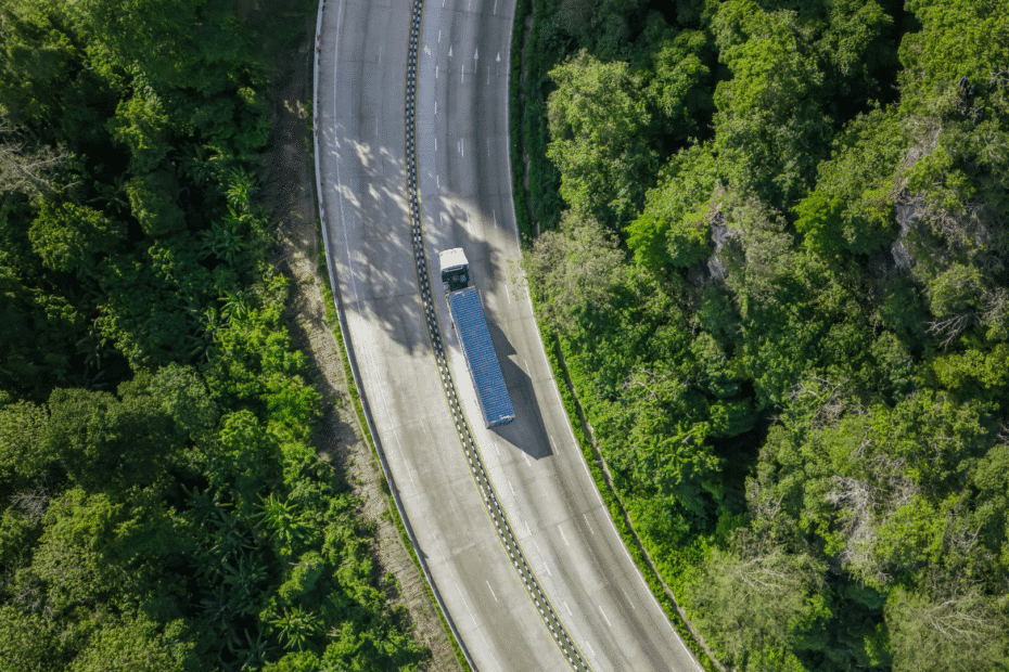 Energy and Carbon Strategies