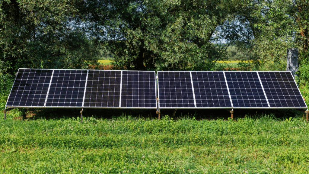 Ground-Mounted Solar Arrays