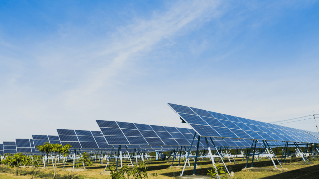 Journey to Zero Challenge for SolarAid