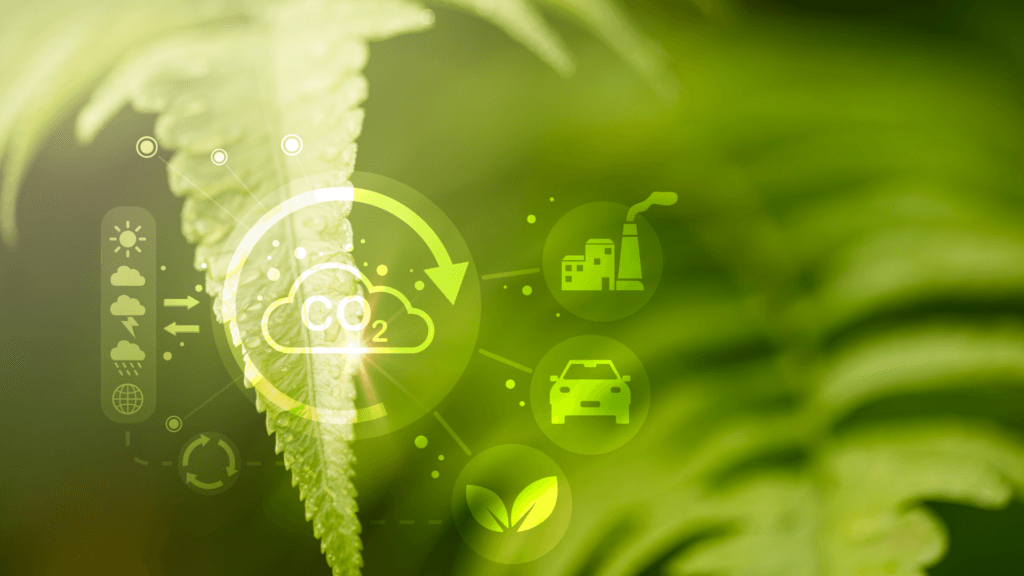 Carbon Reduction vs Carbon Offsetting