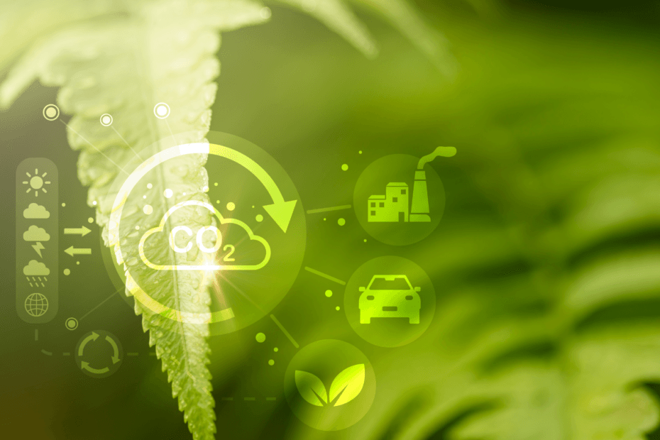 Carbon Reduction vs Carbon Offsetting